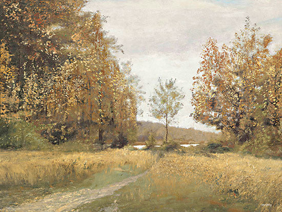 Amber Sterling AS475 - AS475 - Fall by the Lake - 16x12 autumn forest path, golden foliage, natural trail, countryside, warm colors, overcast sky, fall landscape, seasonal trees, textured brush strokes from Penny Lane