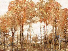 AS478 - Autumn Forest Fire of Color - 16x12