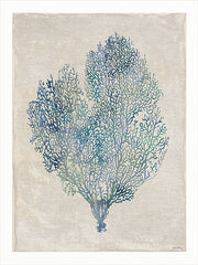 AS497 - Underwater Beauty I - 12x16