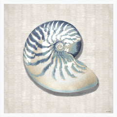AS499 - Ocean's Spiral Wonder - 12x12