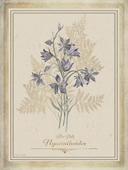 CIN4356 - Vintage Botanical I - 12x16