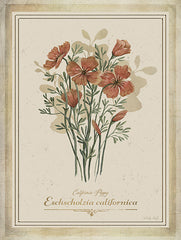 CIN4359 - Vintage Botanical IV - 12x16