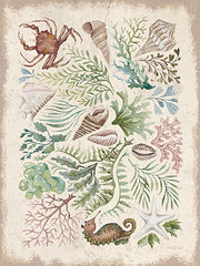 CIN4507 - Treasures of the Tide II - 12x16