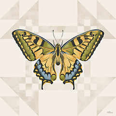 CTD382 - Patterned Perfection - 12x12