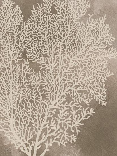 Cat Thurman Designs CTD392 - CTD392 - Beneath the Waves II - 12x16 detailed coral pattern, marine life, underwater flora, sea fan, white coral branches, naturalistic design, botanical marine art, textured background, ocean reef inspiration from Penny Lane