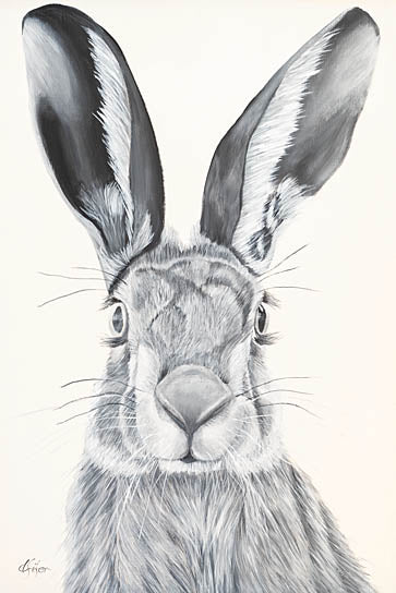 Diane Fifer DF196 - DF196 - I Live for Carrots - 12x18 black and white rabbit, detailed hare portrait, monochrome animal painting, rustic wildlife illustration from Penny Lane