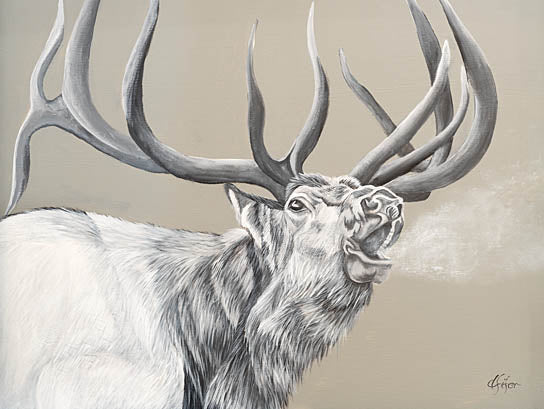 Diane Fifer DF197 - DF197 - Wailing Bugle - 16x12 elk illustration, black and white wildlife, majestic deer painting, nature-inspired art, rustic lodge decor from Penny Lane