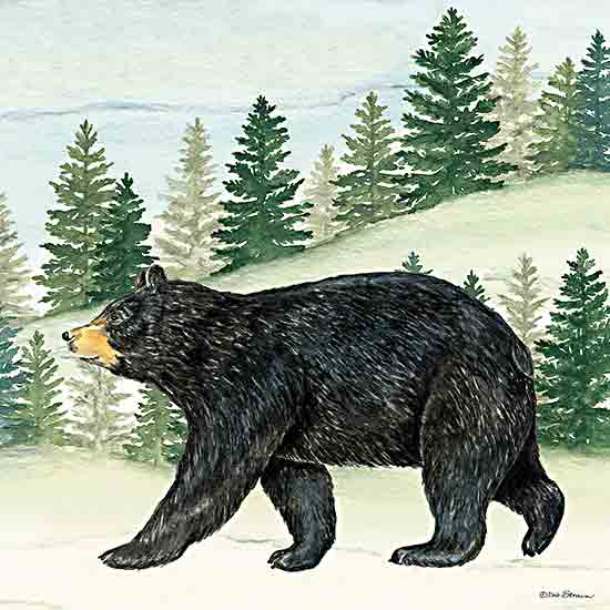 Deb Strain DS2281 - DS2281 - Black Bear in the Woods - 12x12 black bear, forest, evergreen trees, mountain wildlife, painted animal, walking bear, natural habitat from Penny Lane