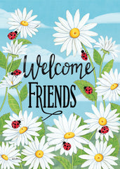 DS2410 - Welcome Friends Daisies - 12x16