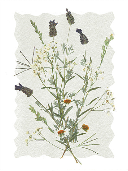 Elizabeth Tyndall ET412 - ET412 - A Touch of Lavender I - 12x16 Pressed flower art, lavender, marigold, wildflowers, delicate bouquet, natural arrangement, botanical print, nature sketch from Penny Lane