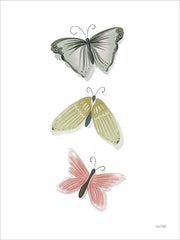 FEN1297 - Watercolor Butterflies - 12x16