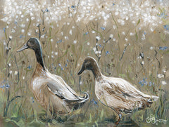 HH258 - Dainty Ducks - 16x12