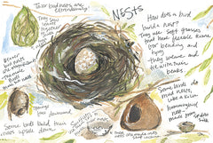 JM632 - Nest Study - 18x12