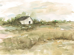 KAM819 - The Neighbors - 16x12