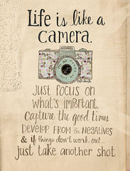 KD260 - Life is Like a Camera  - 12x16