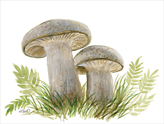 Kate Sherrill KS284 - KS284 - Forest Floor Friends - 18x12 Mushrooms, forest floor, natural scene, botanical art, earthy colors, watercolor mushrooms, green ferns, woodland setting, KShull from Penny Lane