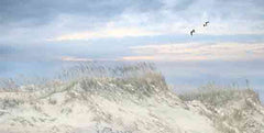 LD3458 - Sea Gulls over the Sand Dunes - 18x9