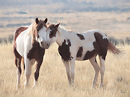 Lori Deiter LD3844 - LD3844 - A Mother's Love - 16x12 two paint horses, affectionate horses, grass field, nature, countryside, black and white horses from Penny Lane