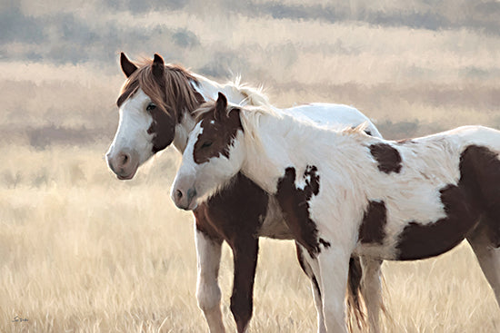 Lori Deiter LD3845 - LD3845 - Motherly Love - 18x12 paint horses, standing together, field landscape, natural light, wild horses, companionship from Penny Lane