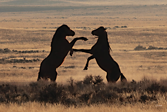 Lori Deiter LD3848 - LD3848 - Wild Fury - 18x12 two horses, fighting horses, rearing up, sunset light, wild mustangs, prairie landscape from Penny Lane
