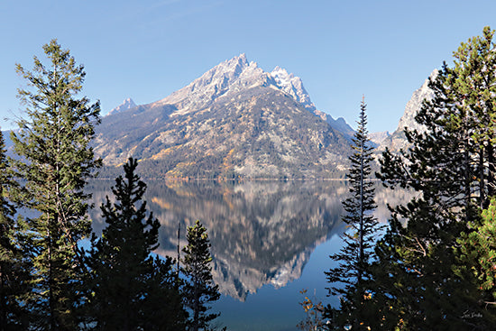 Lori Deiter LD3866 - LD3866 - Reflections at Jenny Lake - 18x12 mountain lake reflection, clear sky, alpine landscape, evergreen trees, Grand Teton National Park, nature photography, morning light, serene environment from Penny Lane
