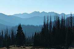 LD3872 - Beyond the Pines - 18x12