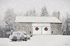 LD3978 - Snowy Solitude - 18x12