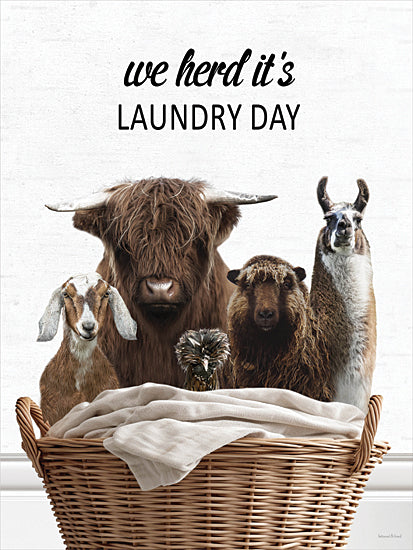 lettered & lined LET1310 - LET1310 - Farm Animals Laundry Day - 12x16 goat, yak, sheep, emu, llama, herd animals, laundry basket, funny pun, herd it's laundry day from Penny Lane