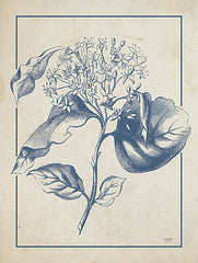 LUX851 - Dogwood Bloom - 12x16