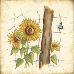 MARY660 - Fenceline Sunflowers - 12x12