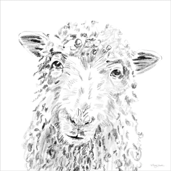 Molly Mattin MAT228 - MAT228 - Sheepish - 12x12 realistic sheep portrait, detailed sheep drawing, curly wool texture, black and white sketch, animal face close-up, expressive animal eyes, rustic livestock art, charcoal look from Penny Lane