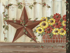 MM382 - Barn Star Basket - 16x12