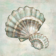 MOL2910 - Seashells I - 12x12