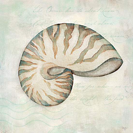 Mollie B. MOL2913 - MOL2913 - Seashells IV - 12x12 Nautilus shell watercolor, swirling sea pattern, marine illustration, ocean-inspired home decor, light aqua tones from Penny Lane
