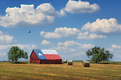 MPP1169 - Lone Star Barn - 18x12