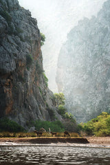 MPP1195 - Stony Gorge - 12x18