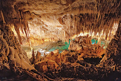 MPP1209 - Hidden World - 18x12