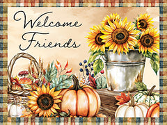 ND929 - Fall Welcome Friends - 16x12
