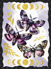 ND969 - Mystic Butterflies - 12x16
