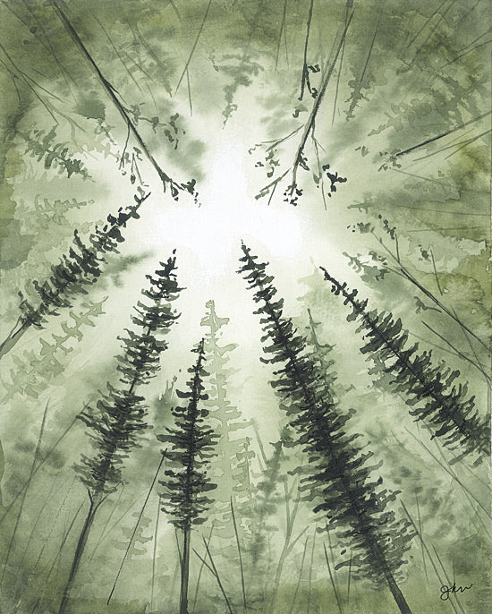 Julie Norkus NOR355 - NOR355 - Morning Light - 12x16 watercolor, pine trees, perspective view, forest canopy, green hues, natural light, upward view, tranquil forest, foliage silhouettes from Penny Lane