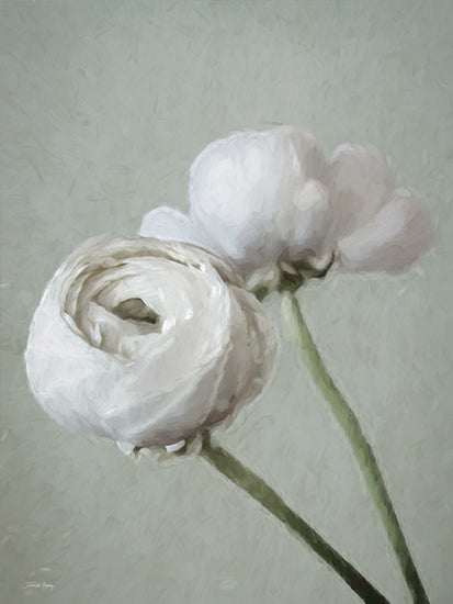 Jennifer Rigsby RIG262 - RIG262 - Beauty Refine I - 12x16 White ranunculus flowers, pastel green background, soft petals, macro perspective, digital painting, gentle color palette from Penny Lane
