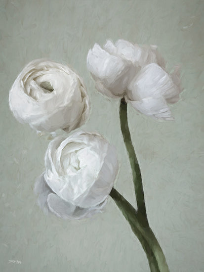 Jennifer Rigsby RIG263 - RIG263 - Beauty Refine II - 12x16 Three white ranunculus flowers, soft focus, green pastel background, romantic style, elegant composition, delicate blooms from Penny Lane