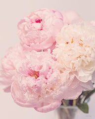 RIG286 - Petals of Promise I - 12x16