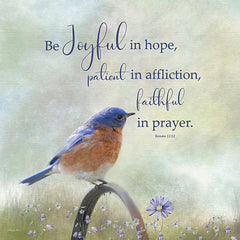 RLV691 - Be Joyful in Hope - 12x12