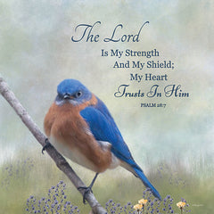 RLV692 - The Lord - 12x12