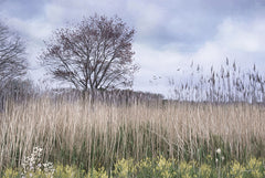 RLV744 - Meadow View - 18x12