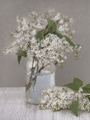 RLV751 - May Lilacs - 12x16