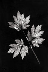 RLV760 - Simple Leaves - 12x18