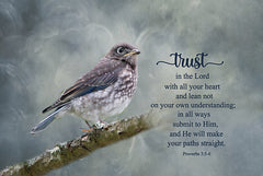RLV774 - Trust in the Lord - 18x12
