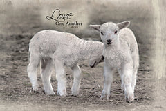 RLV798 - Love One Another - 18x12